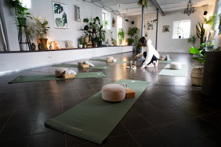 Yoga Dschungel