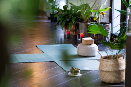 Yoga Dschungel