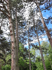 Naturkinder