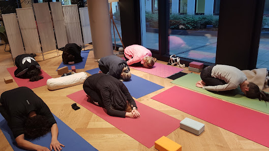 Sense4Life Yoga München I Yoga 50 Plus I Massage