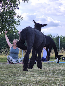 Yoga Für Dich