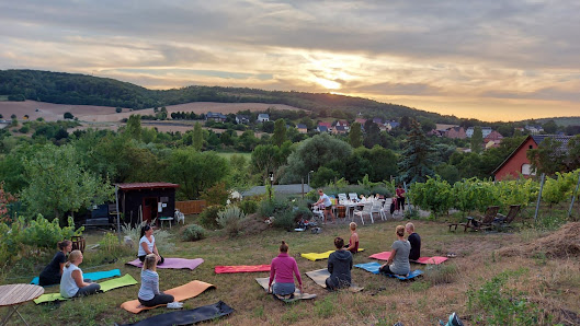 Das Yogabüro
