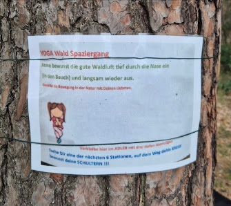 YOGA Wald Spaziergang 3