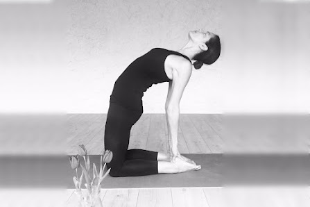 VanYoga - Yogaschule
