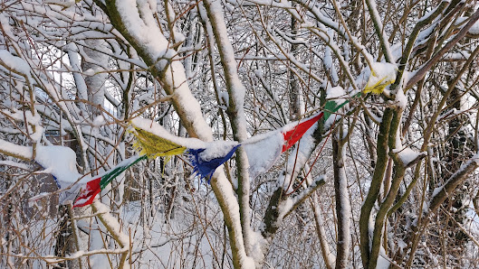 Raum für Yoga - Niebüll
