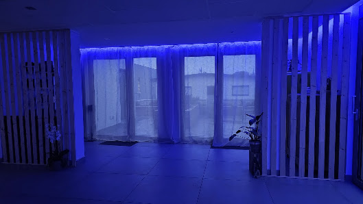 Graceful Motion - [U]S Studio