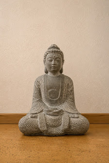 Yoga-Rosina
