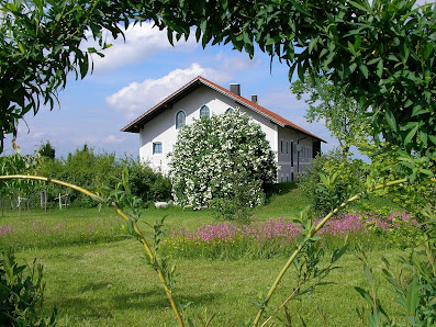Yoga auf dem Holzwimmerhof