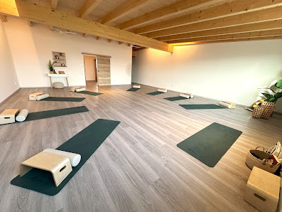 Yogaschule Landshut - Birgit Brandl