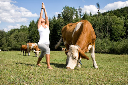 Ashtangayoga-Allgäu