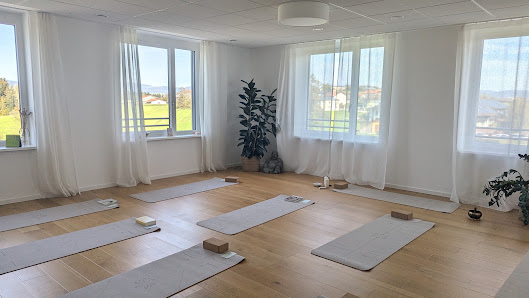 Studio Asara