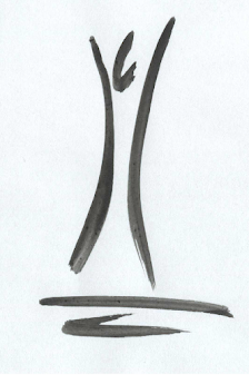Yoga Monika Schmitt