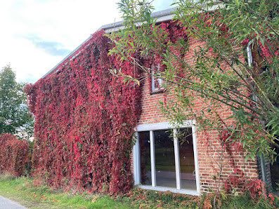 Peene Yogi Lodge