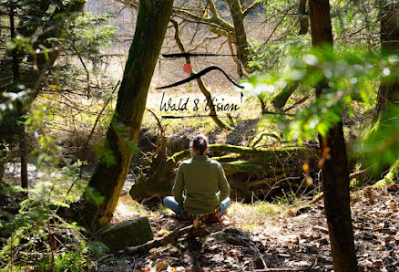 Wald & Vision