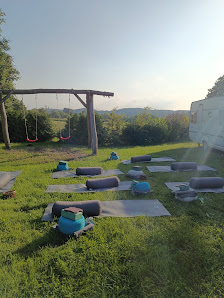 Blossom Out - Yoga Jenny Friebel