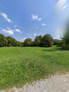 Yoga im Park mit Bea