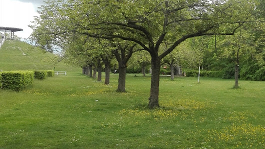 Yoga Pilates, Stefan Peter Berlin