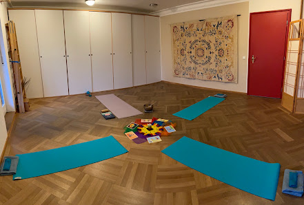Die Monte Yogis