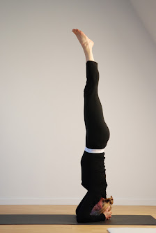 LIVINGYOGA DÜSSELDORF Yogaschule Brigitte Wollenhaupt