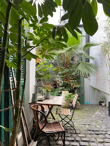 Palmhouse Yoga