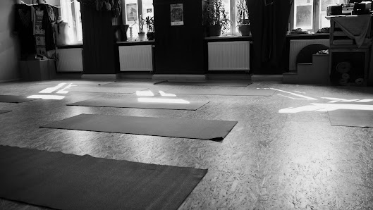 YOGA zum fliegenden Tapir