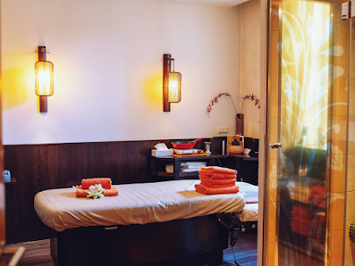 MEDITA Dresden - Zentrum für Yoga, Ayurveda und ganzheitliche Gesundheit