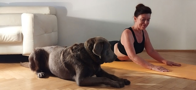 Yoga Leipzig-Gohlis