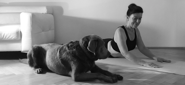Yoga Leipzig-Gohlis