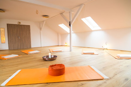 Yogalehrer Thomas Hartmann, Hatha Yoga in Dresden "Zur Gewürzmühle"