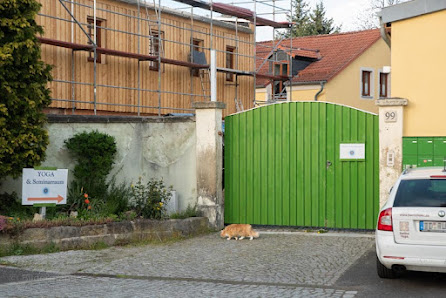 Yogalehrer Thomas Hartmann, Hatha Yoga in Dresden "Zur Gewürzmühle"