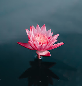Anne Scheibe Yoga Nürnberg
