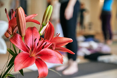 AYHB - Ashtanga Yoga Bremen im YOMA am Ziegenmarkt