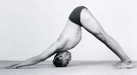 Pablo Yoga Iyengar