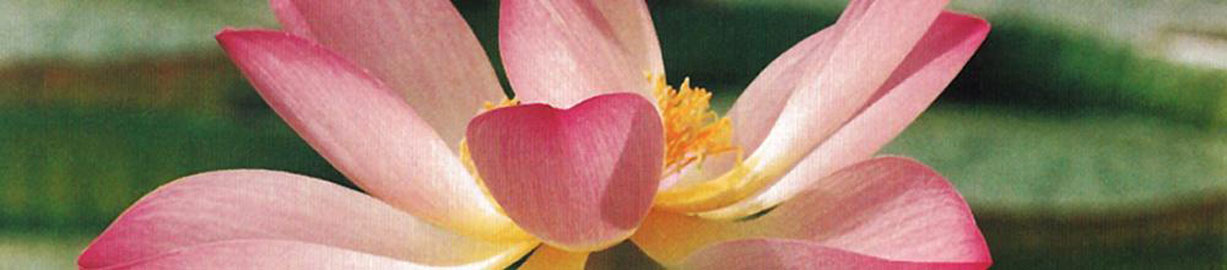YOGA - ATEM - MEDITATION