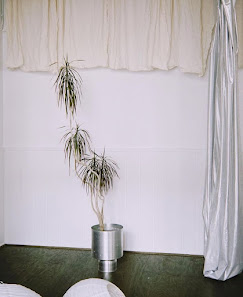 Cosmos Studio