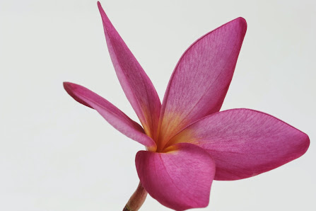 Yogaschule Anette Ostra