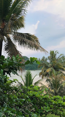 Surf Spirit - Surf & Yoga Retreats