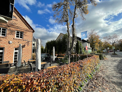 Yogameisterei