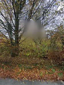 Yoga und Vegan Oase Lemgo
