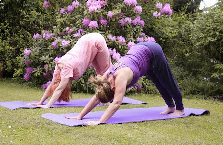 Non solo Yoga