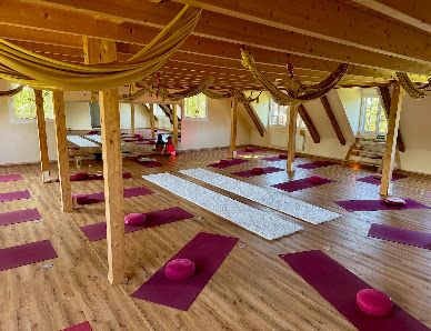 YOGA INSIGHT. Psychologische Privatpraxis und Yogaschule