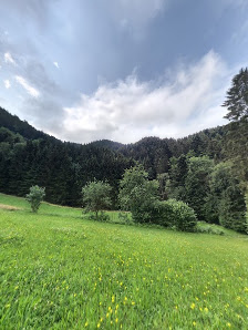 Europäisches Art of Living Zentrum - Yoga, Meditation Retreat Zentrum im Schwarzwald