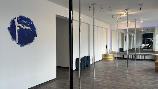 Stargazer 22 - Dein Studio für Pole, Aerial und Yoga