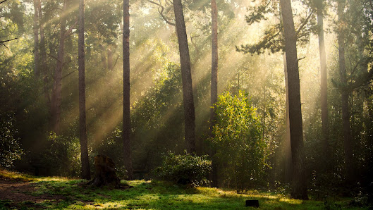 YOGA Licht - der friedvolle Yogaweg - Yoga-Kurse in Mering