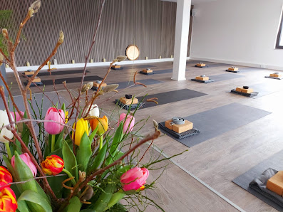 Physio Yoga Loft by Melanie Schard - Zentrum für Yoga und Gesundheit