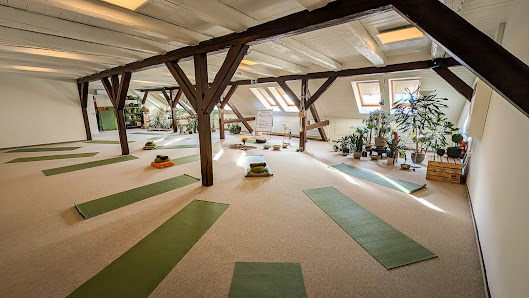 Ahimsa Yoga Magdeburg | Yoga & Klangreisen