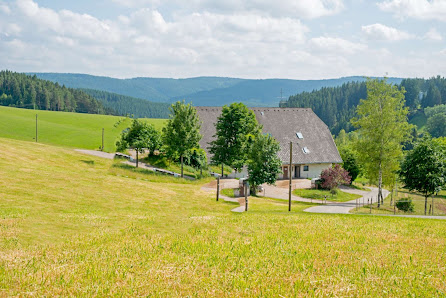 BREATH & SPIRIT Yoga im Schwarzwald