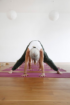 iyengar yoga freiburg Daniela Bühler