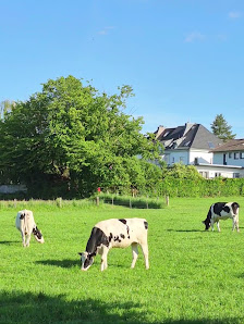 Yoga Garten Aachen