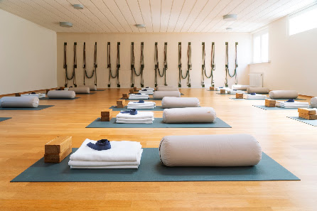Iyengar Yoga bewegt